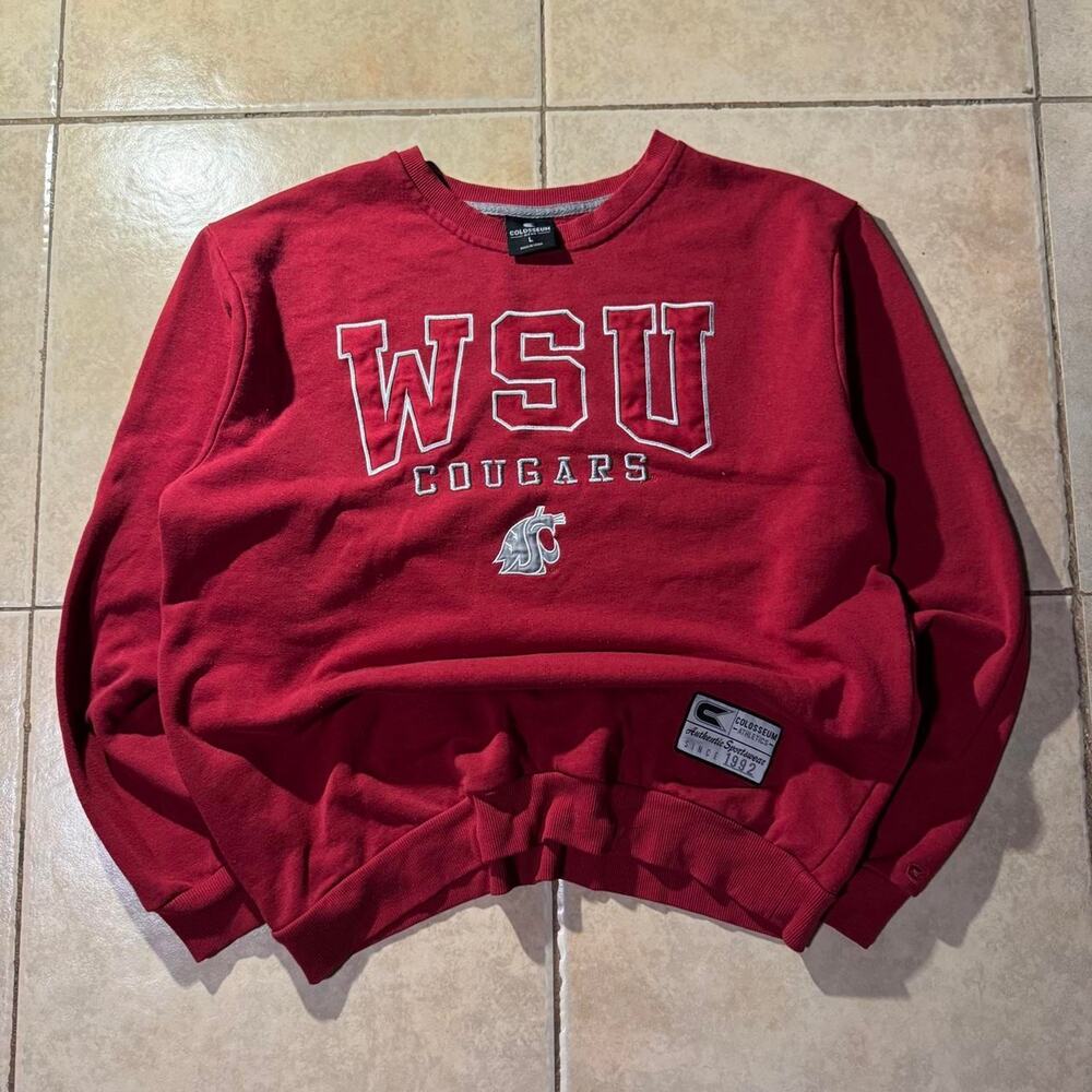 Y2k washington state university cougars crewneck size L in Mens